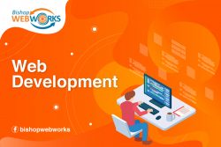 Professional Web Development Services