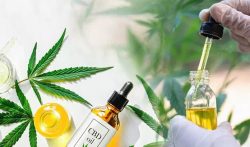 Obtenga todos los beneficios del aceite de CBD