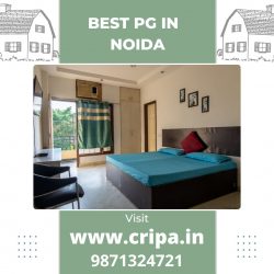 Best PG in Noida With Food