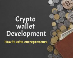 Profitable Cryptocurrency wallet development