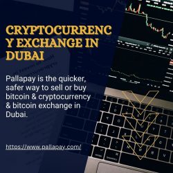 Cryptocurrency exchange in Dubai