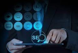 Freelance Seo Delhi