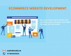 Ecommerce website development