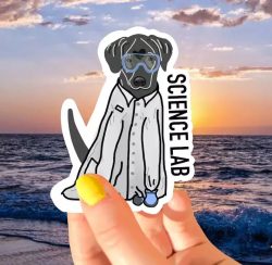 Labrador Dog Stickers Cute Water Bottle Stickers $3.99