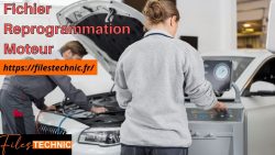 Fichiers de reprogrammation du moteur