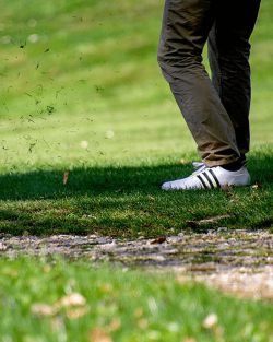 How to Choose the Most Comfortable Golf Shoes