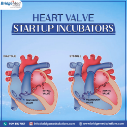 Heart Valve Startup Incubators