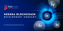 Hedera Hashgraph Development Company