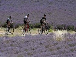 Cycling holidays in France – France Outdoors