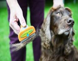 Furminator Deshedding Tool