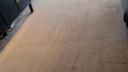 The Grime Underfoot – A Tale Of Your Carpet’s Secrets