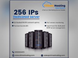 Get Cheap 256 ips dedicated server at Low Price