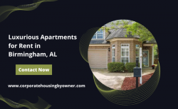 Luxurious Apartments for Rent in Birmingham, AL