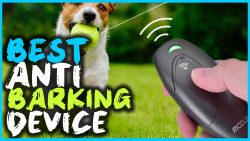 Is Best Anti-Barking Device A Good Choice?