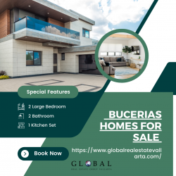 Most Influential People in the Bucerias Homes For Sale