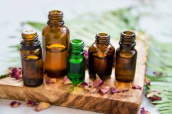 Reason Why Natural Perfume Oils Are Better Than Ordinary Perfumes