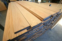 Oak Trees & Timber | Species | English Woodlands Timber