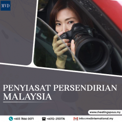 Penyiasat Persendirian Malaysia