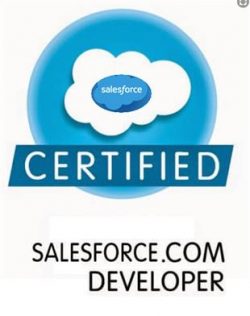 Certified Platform App Builder Exam Dumps