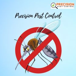 Termite Inspection Adelaide | Precision Pest Control