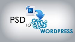 Learn How To Start PSD To WordPress