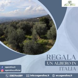 Regala Un Albero in Italia