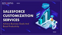 Salesforce Customization Services