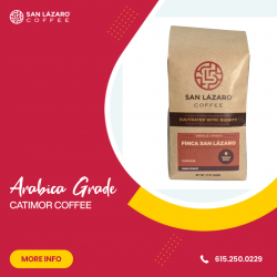 ARABICA GRADE CATIMOR COFFEE