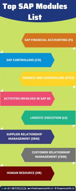 best SAP Training in Noida