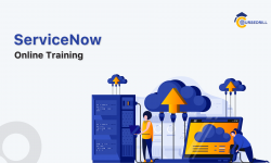 Servicenow ITSM Certification