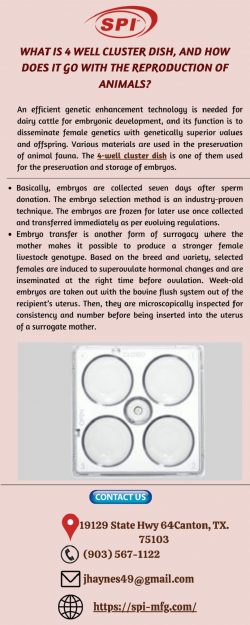 Shop Our Versatile 4 Well Cluster Dish to Fasten Your Process!