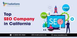 Top SEO Company in California