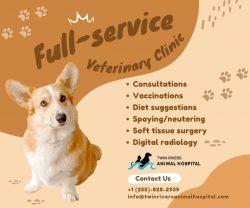 We make specialized diet plans considering Senior Pet Care Kamloops