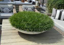 Best Durable Outdoor Planters – PLANTZ US