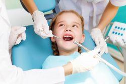 Best MetLife Dentists Near Me in Miami Beach, FL