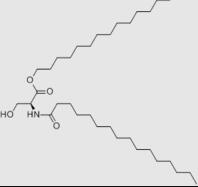 Phospholipids Products