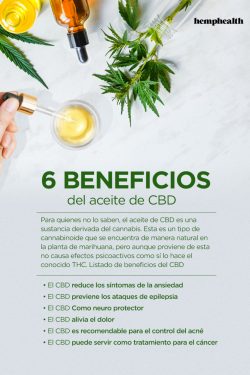 6 Beneficios del aceite de CBD