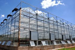 Steel Structure Greenhouse