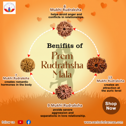 Best astrologer in India for marriage | Natural rudraksha online