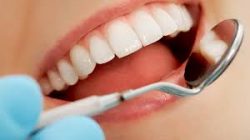 North Florida Orthodontic Specialists | Orthodontist Specialist Of Florida