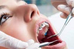 Central Florida Orthodontic Specialists |Orthodontic Specialist Of Florida