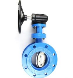 eccentric butterfly valve