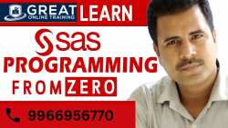 Who is eligible to do SAS Course?