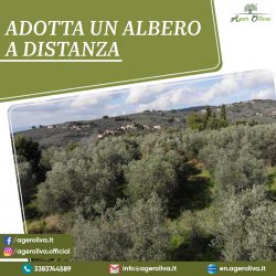 Adotta un Albero a Distanza