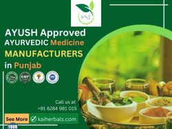 Ayurvedic Medicine Manufacturers in Punjab