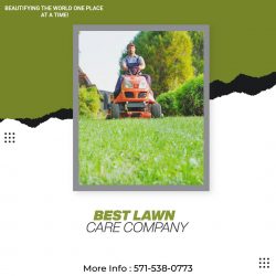 Best Lawn Care Company