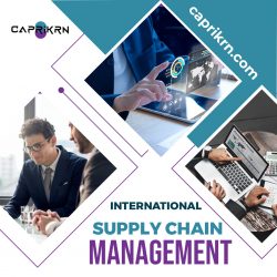 Best one-stop international supply chain management in UAE