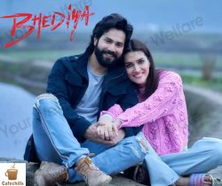 Bhediya Movie Cast