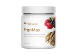 Vital Origin ErgoMax Brain Support (Restore Your Mind) Think Faster Be Smarter!