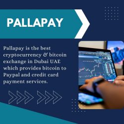 Buy Bitcoin & Crypto exchange in Dubai